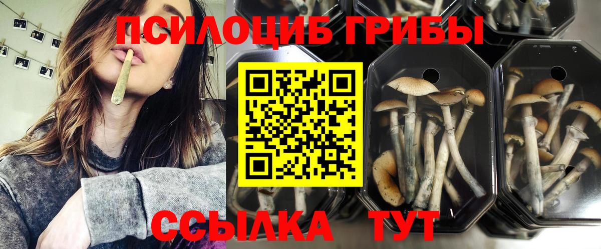 Белгород  наркота  Вход с VPN  Псилоцибиновые грибы мухоморы 